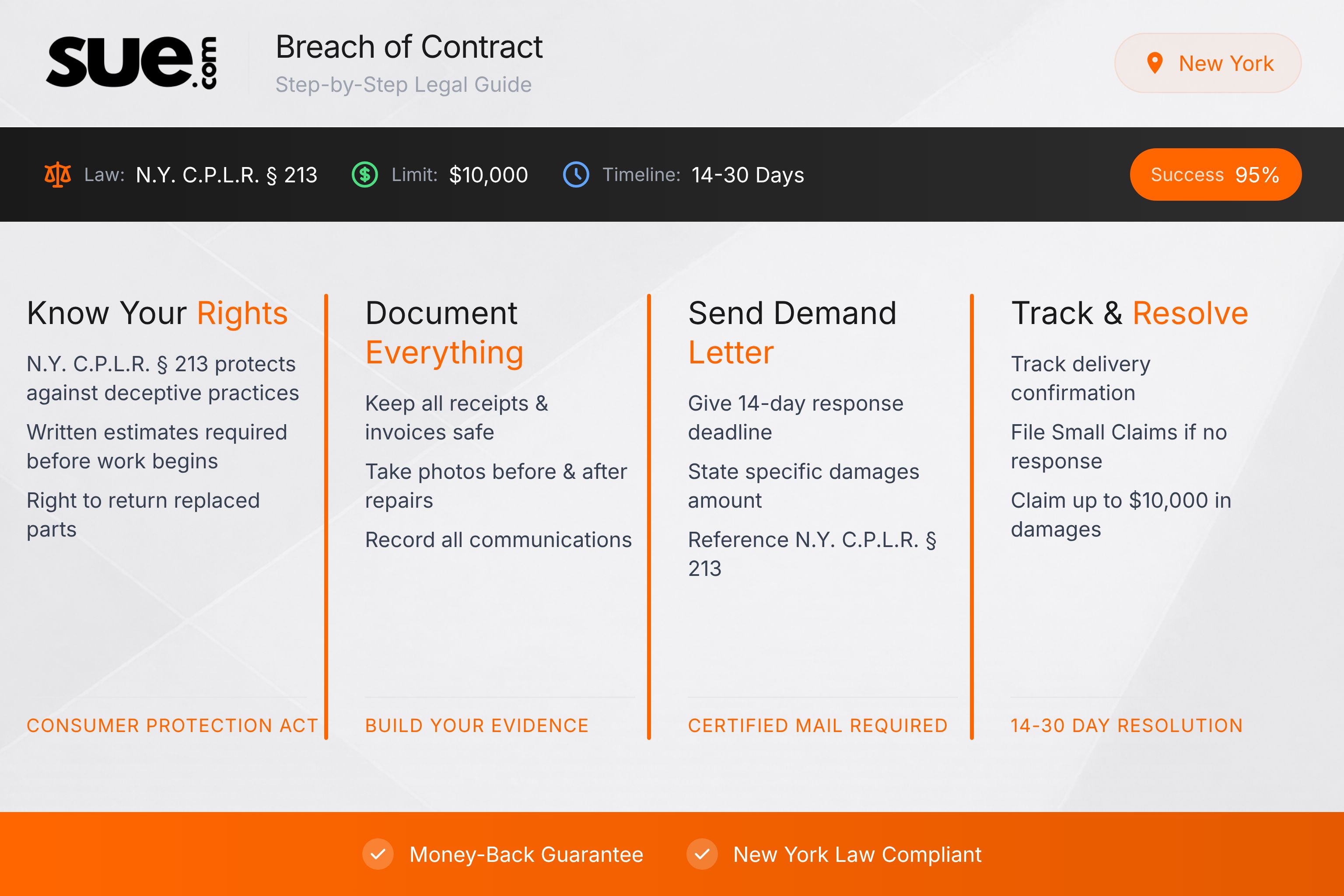 New York  law infographic